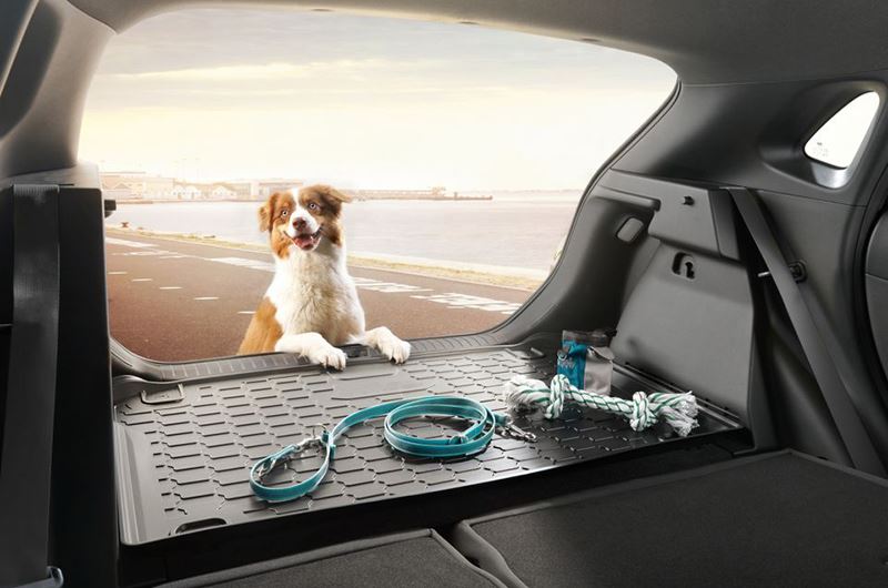 Na een middagje op het strand zit jouw hond waarschijnlijk onder het zand. Geen probleem met de accessoires van Hyundai.
