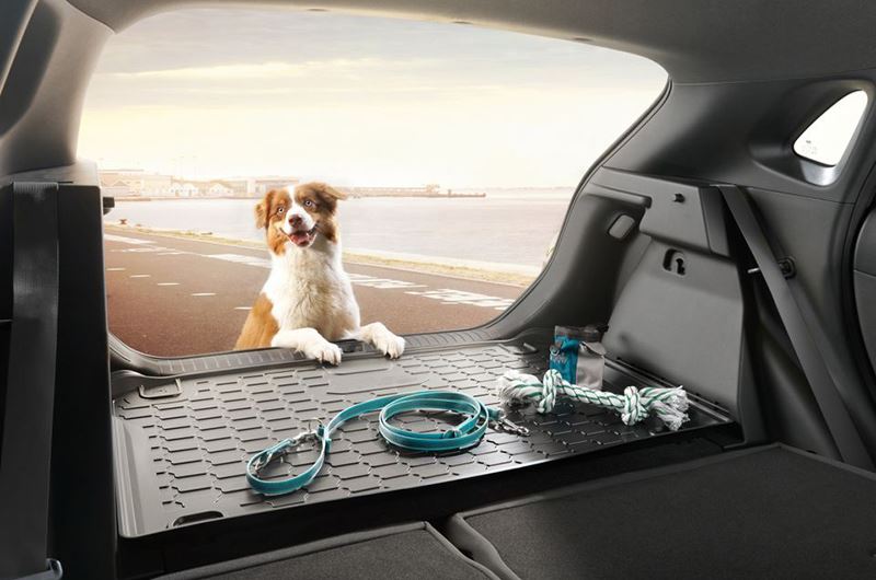 regen gelijkheid Toneelschrijver Hond mee in de auto? Deze accessoires helpen je op weg!