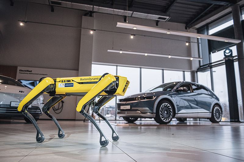 De robothond Spot van Hyundai en Boston Dynamics kan over moeilijk begaanbaar terrein lopen en achterwaartse salto’s doen.