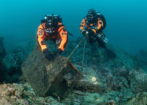Hyundai en Healthy Seas vieren vijf jaar samenwerking voor schonere oceanen