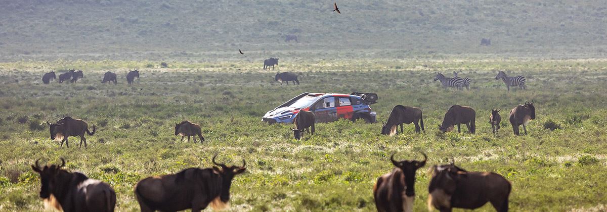 Podium voor Hyundai in Safari Rally Kenia