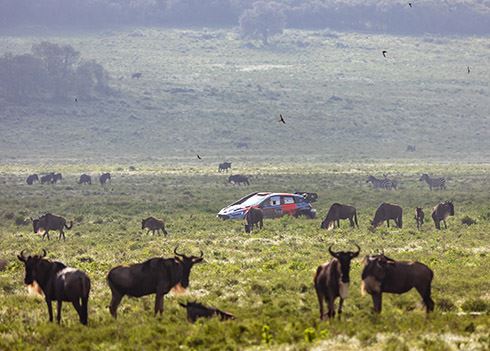 Podium voor Hyundai in loodzware Safari Rally Kenia