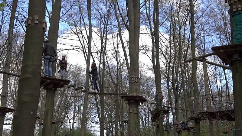 Fun Forest