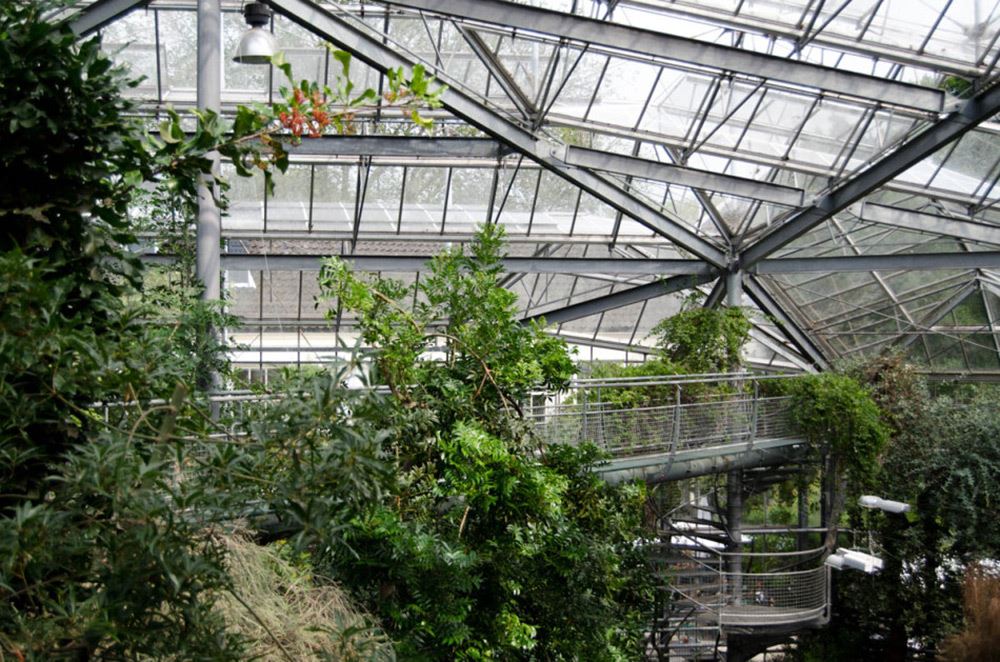 Hortus Botanicus Amsterdam