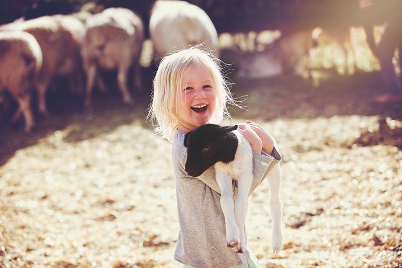 Beesten knuffelen op de boerderij